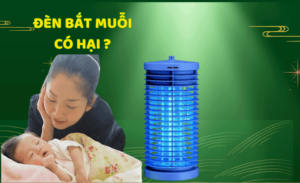 DEN-BAT-MUOI-CO-HAI-KHONG