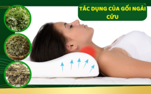 tác dụng của gối ngải cứu